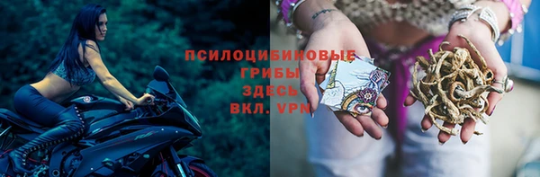 гашик Горнозаводск