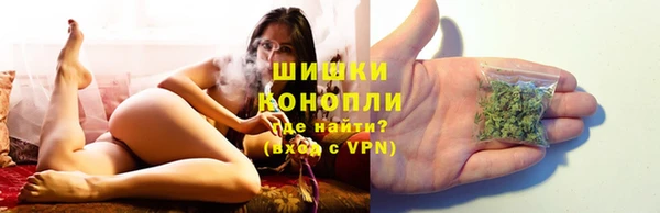 стафф Горно-Алтайск