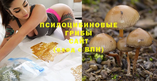 mix Гусь-Хрустальный