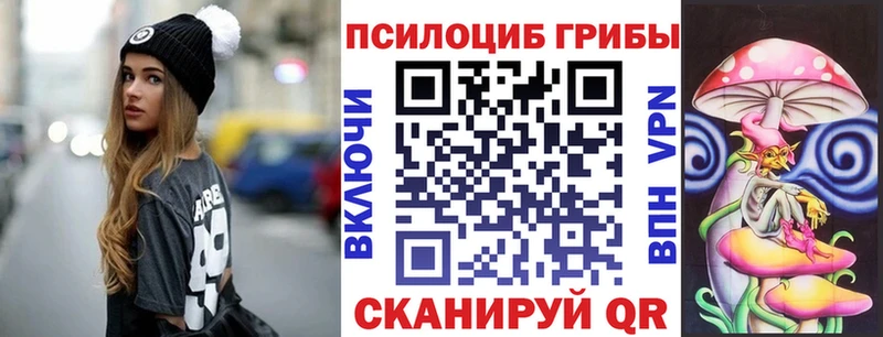 Галлюциногенные грибы прущие грибы ссылка на мегу ТОР Плавск купить закладку
